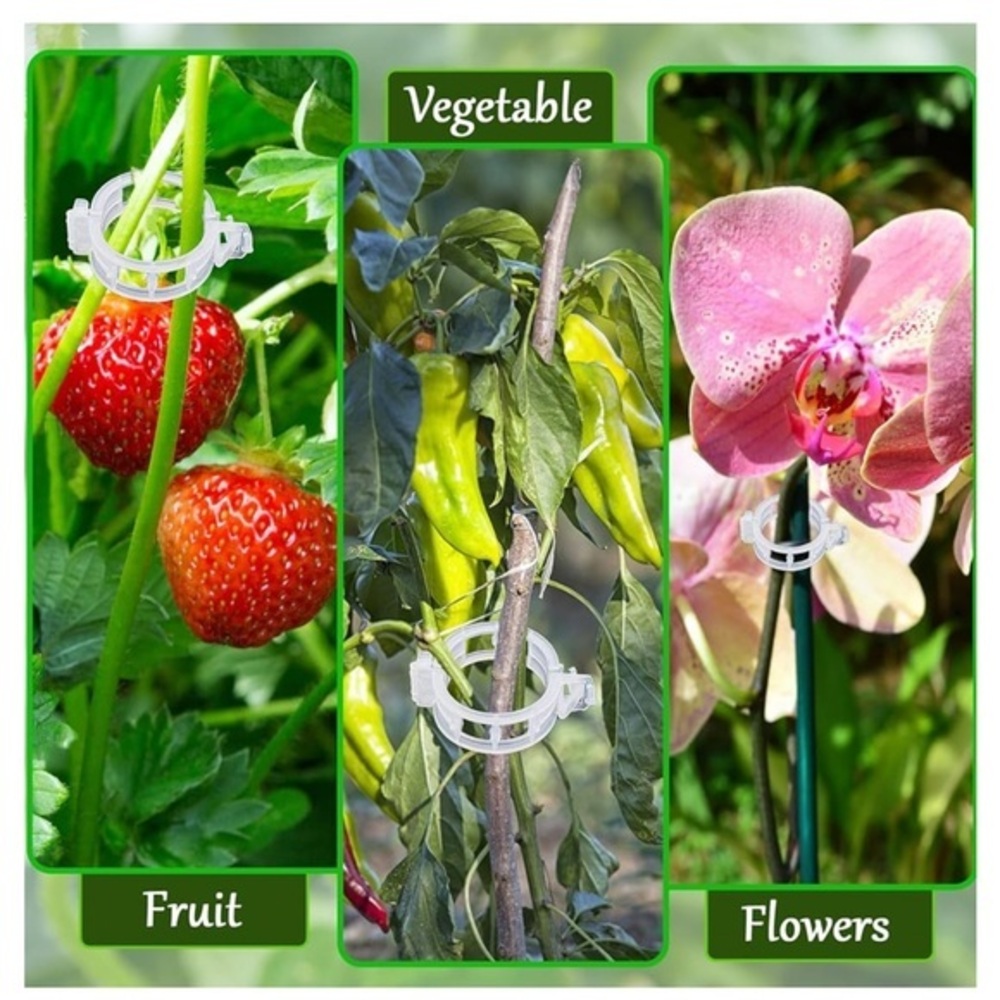 Garden Plant Support Clips